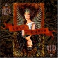 Cher / Love Hurts (일본수입)