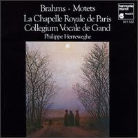 Philippe Herreweghe / Brahms : Motets (수입/HMC901122)