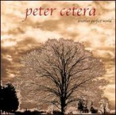 Peter Cetera / Another Perfect World (수입)